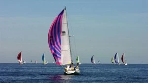 boats