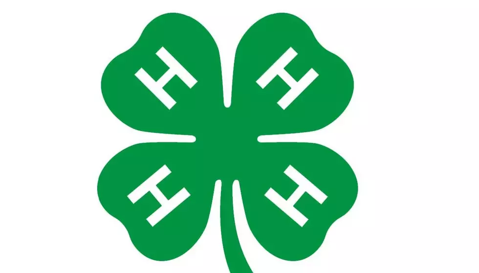 It&#8217;s Lapeer County 4-H Auction Time