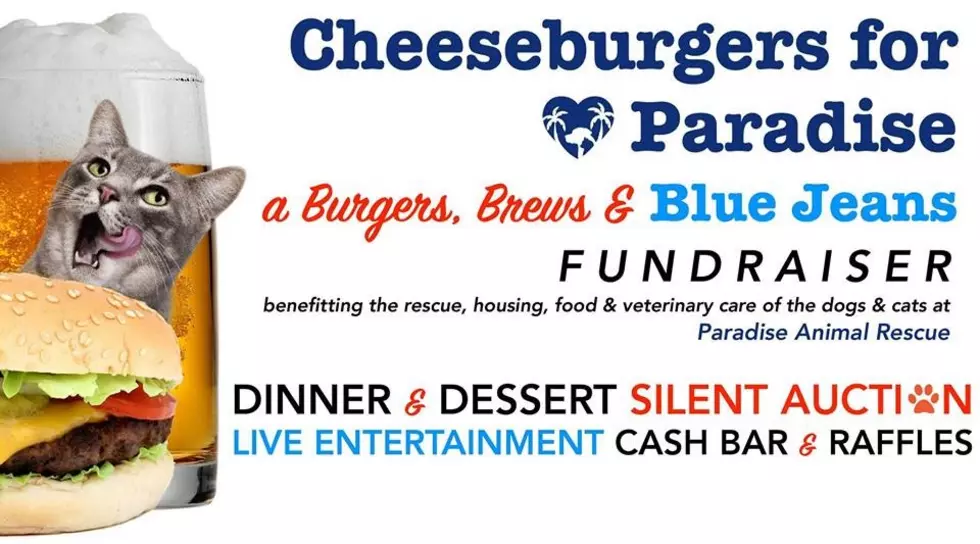 2nd Annual Paradise Animal Rescue Cheeseburgers For Paradise